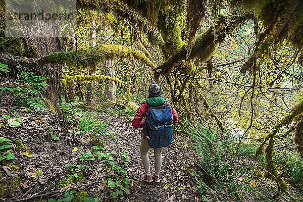 Wanderer auf Wanderweg im Regenwald  Okanogan-Wenatchee National Forest  Washington  USA  Nordamerika