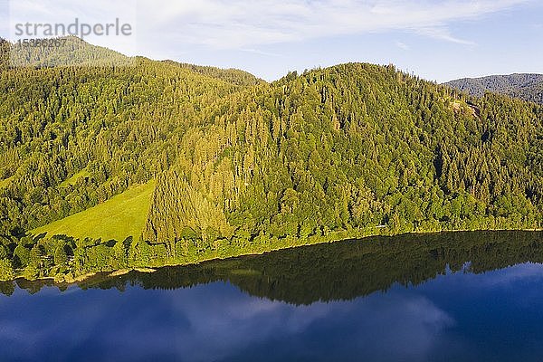 Bewaldetes hügeliges Westufer des Schliersees  Drohnenaufnahme  Oberbayern  Bayern  Deutschland  Europa