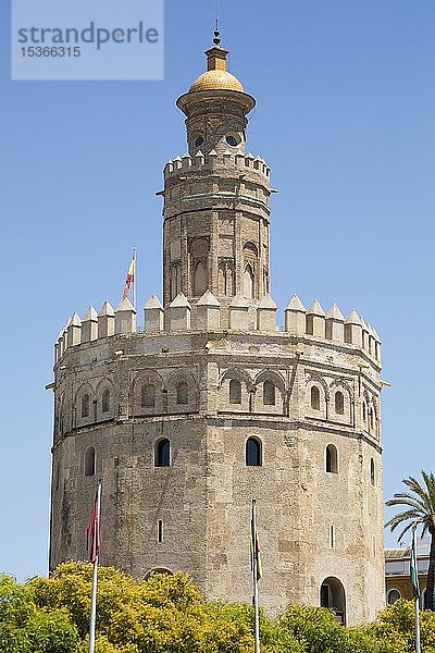 Goldturm  Torre del Oro  Sevilla  Andalusien  Spanien  Europa