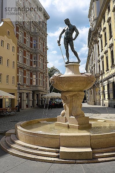 Fechtbrunnen von Hugo Lederer an der Universität von Wroclaw  Polen  Europa