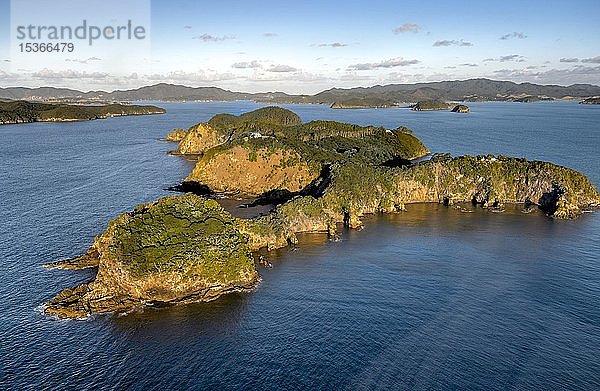 Luftaufnahme einer Insel in der Bay of Islands  Far North District  Nordinsel  Neuseeland  Ozeanien