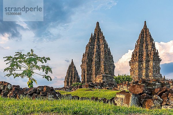 Prambanan oder Rara Jonggrang  Hindu-Tempel  Region Yogyakarta  Java  Indonesien  Asien