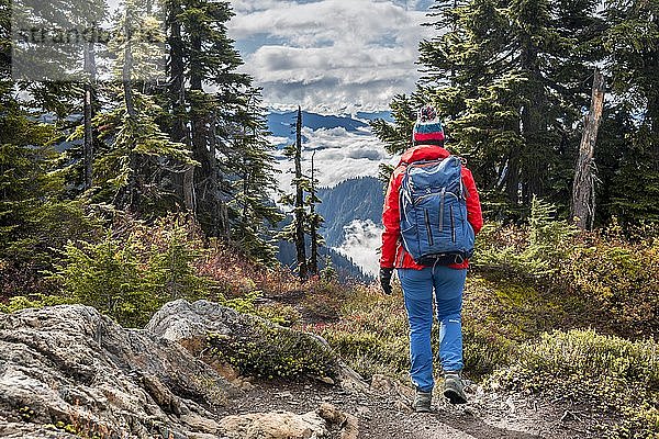 Wanderin auf Wanderweg durch Wald in herbstlicher Berglandschaft  Mt. Baker-Snoqualmie National Forest  Washington  USA  Nordamerika