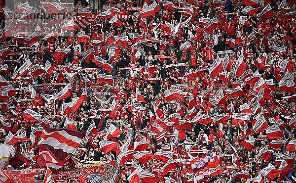 Fanblock FC Bayern München  Pokalfinale 2019  DFB-Pokal  Olympiastadion  Berlin  Deutschland  Europa