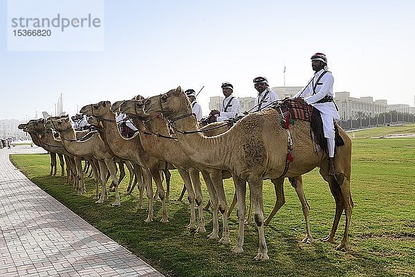 Berittene Kamelwache vor dem Regierungspalast in Doha  Katar  Asien