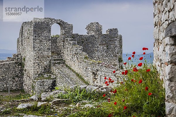 Ruinen der Burg Berat  Burg Kalaja  Albanien  Europa