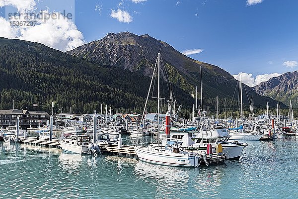 Boote im Hafen  Seward  Kenai-Halbinsel  Alaska  USA  Nordamerika