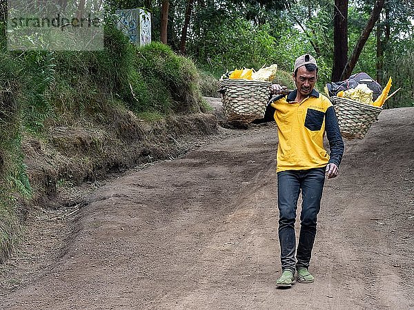 Arbeiter trägt Schwefel in Körben auf seinen Schultern  Schwefelabbau  Vulkangebiet Ijen  Java  Indonesien  Asien