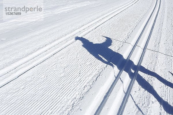 Schatten eines Skilangläufers auf einer Langlaufloipe  Skilanglauf  San Martino di Castrozza  Trient  Italien  Europa
