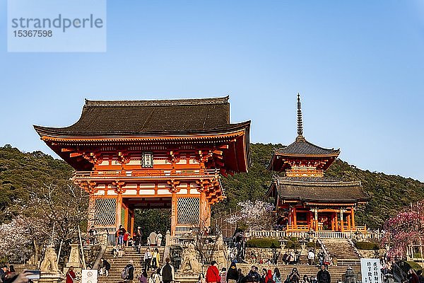 Buddhistischer Tempel  Westliches Tor des Kiyomizu-dera-Tempels  Kiyomizu  Kyoto  Japan  Asien