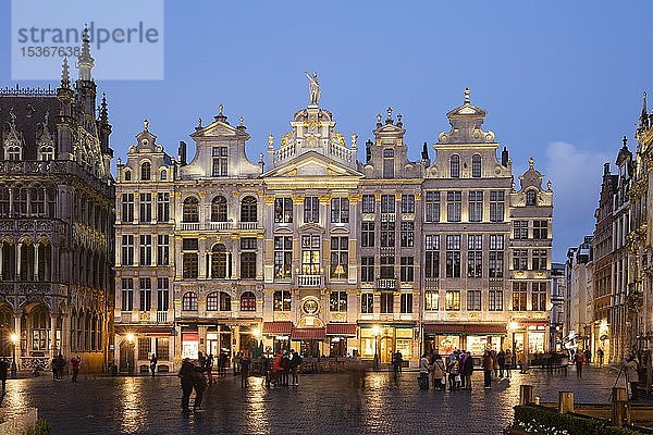 Zunfthäuser am Grand Place  Grote Markt  Dämmerung  Brüssel  Belgien  Europa