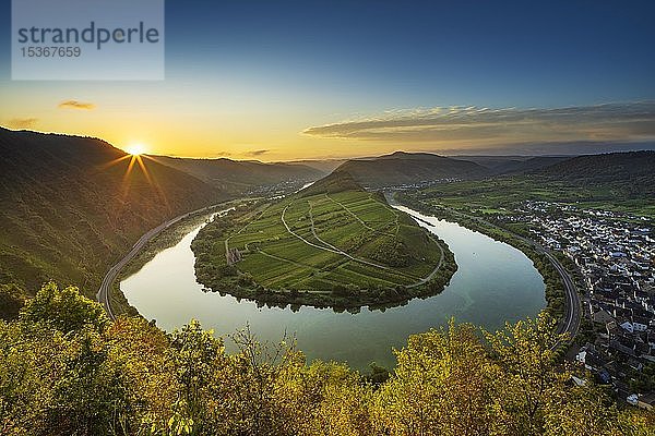 Moselschleife  bei Sonnenaufgang  Bremm  Moseltal  Rheinland Pfalz  Deutschland  Europa