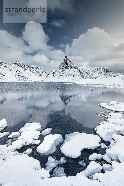 Der Berg Volandstinden spiegelt sich im Fjord  schneebedecktes Ufer und Eis im Vordergrund  Fredvang  Flakstadøya  Lofoten  Norwegen  Europa