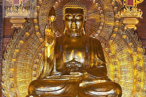 Großer Buddha  Buddhistische Pagode Bai Dinh  Vietnam  Asien