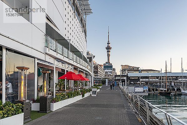Blick auf den Sky Tower vom Princes Wharf  Hafen  Auckland  Nordinsel  Neuseeland  Ozeanien