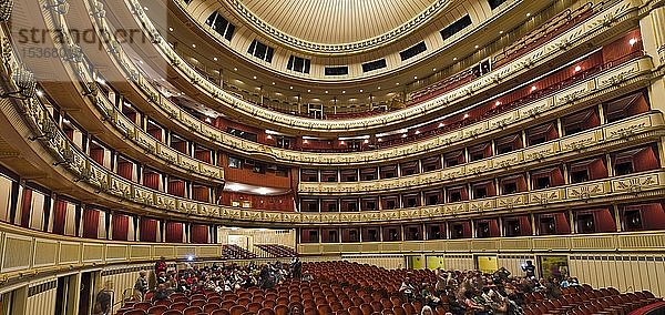 Innenraum  Opernsaal  Staatsoper  Wien  Österreich  Europa