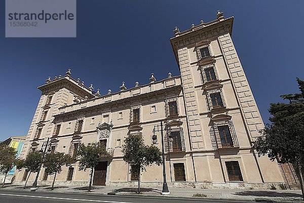 Museum der schönen Künste  Museu de Belles Arts  Valencia  Spanien  Europa