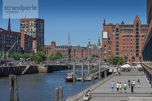 Magdeburger Hafen mit Busanbrücke  Internationales Maritimes Museum  Elbtorquartier  Hafencity  Hamburg  Deutschland  Europa
