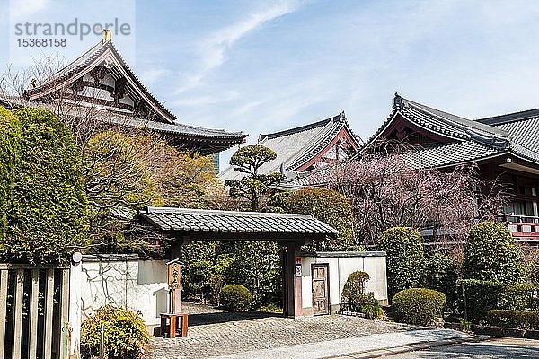 Eingang  Z?j?ji-Tempel zur Kirschblüte  buddhistische Tempelanlage  traditionelle japanische Architektur  Tokio  Japan  Asien