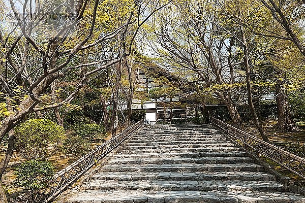 Treppe zum Ryoanji-Tempel Kori  Ry?an-ji  Kyoto  Japan  Asien
