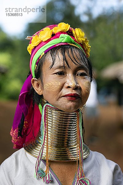 Padaung Langhalsige Frau mit Messing-Halsringen  Porträt  Bergvölker  Provinz Chiang Rai  Nordthailand  Thailand  Asien