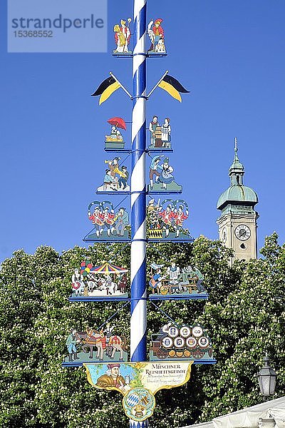 Maibaum am Viktualienmarkt  am Hinterturm der Heiliggeistkirche  München  Oberbayern  Bayern  Deutschland  Europa