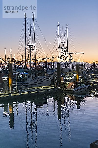 Fischerboote im Fischereihafen von Steveston Harbour  Abendstimmung  Fraser River  Vancouver  British Columbia  Kanada  Nordamerika