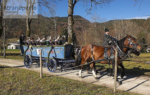Kutsche beim Leonhardi-Ritt in Kreuth  Tegernseer Tal  Oberbayern  Bayern  Deutschland  Europa