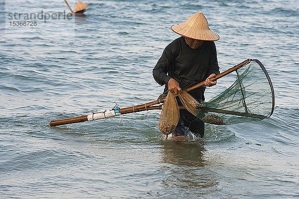 Krabbenfischer mit Strohhut im Wasser  Strand Cua Dai  bei Hoi An  Vietnam  Asien