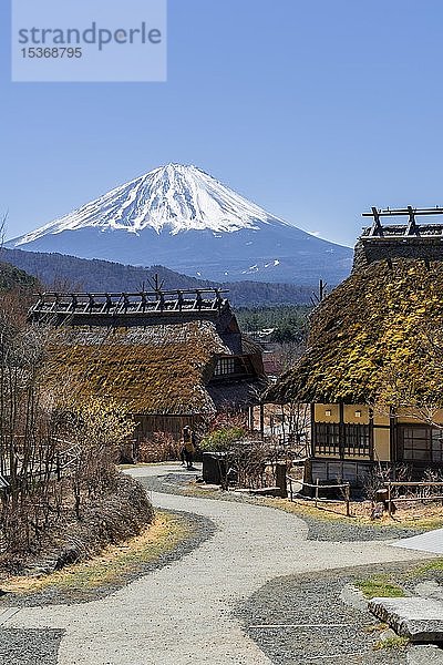 Freilichtmuseum Iyashinosato  altes japanisches Dorf mit traditionellen strohgedeckten Häusern  hinterer Vulkan Mt. Fuji  Fujikawaguchiko  Japan  Asien