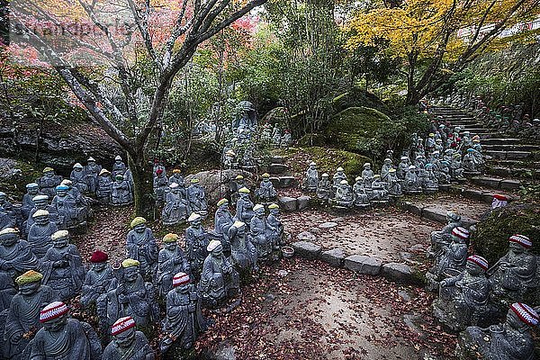 500 Buddha-Statuen unter Herbstlaub  Daisho-in-Tempelanlage  Miyajima  Japan  Asien