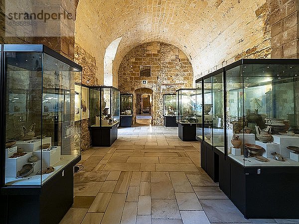 Ausstellungsraum  normannisch-schwäbische Burg  Mesagne  Apulien  Italien  Europa