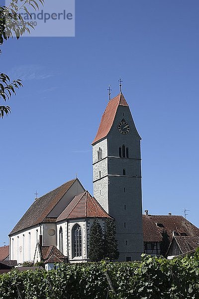 Katholische Kirche St. Johann Baptist  Hagnau am Bodensee  Bodenseekreis  Baden-Württemberg  Deutschland  Europa