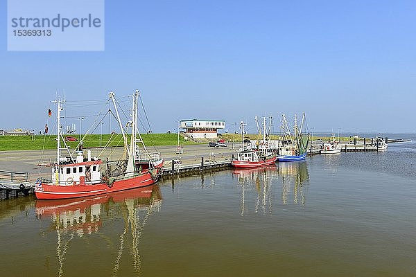 Fischkutter im Hafen von Dorumersiel  Dornum  Ostfriesland  Niedersachsen  Deutschland  Europa