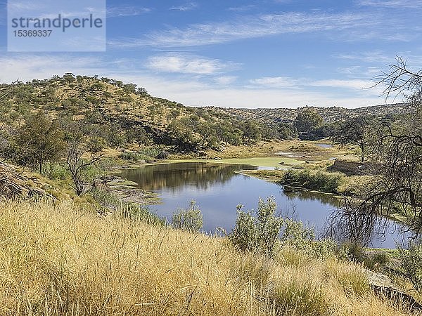 Landschaft  Flussbett mit wenig Wasser  Daan Viljoen Wildreservat  Namibia  Afrika