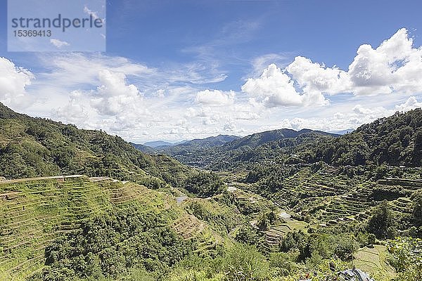 Blick auf die Reisterrassen vom Aussichtspunkt Banaue  Banaue  Philippinen  Asien