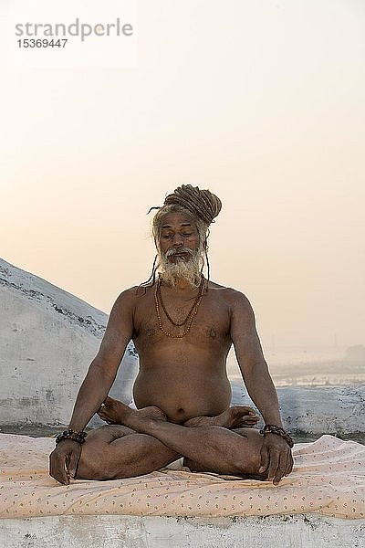 Sadhu übt Yoga  Allahabad Kumbh Mela  weltgrößte religiöse Versammlung  Uttar Pradesh  Indien  Asien