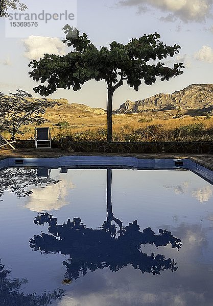 Baum spiegelt sich im Schwimmbad  Lodge im Isalo-Nationalpark  Madagaskar  Afrika