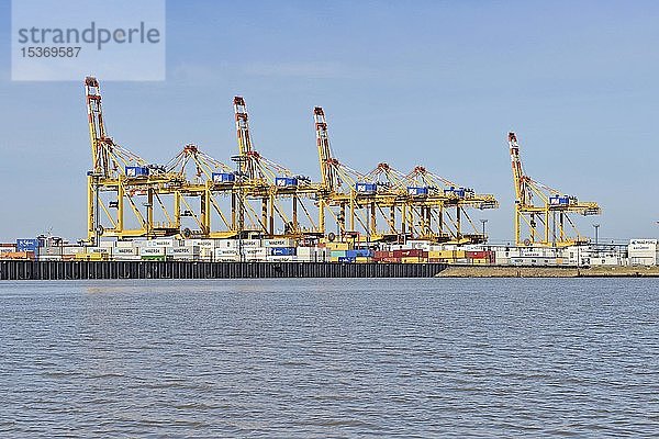 Portalkräne  Containerterminal  Bremerhaven  Bremen  Deutschland  Europa