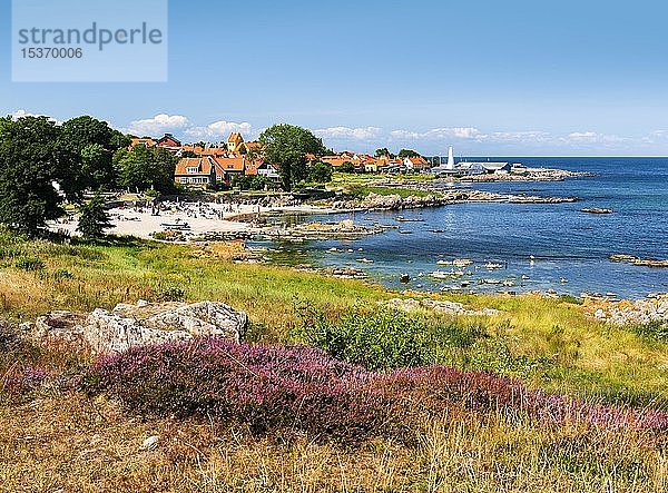 Blick auf Allinge mit Badeplatz und Räucherei an der felsigen Ostseeküste  davor blühendes Heidekraut (Erica)  Allinge-Sandvig  Bornholm  Dänemark  Europa