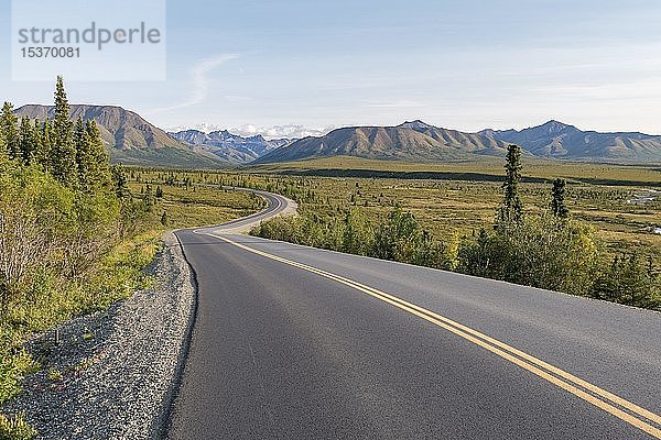 Straße im Denali-Nationalpark  Gebirge der Alaska Range  Alaska  USA  Nordamerika