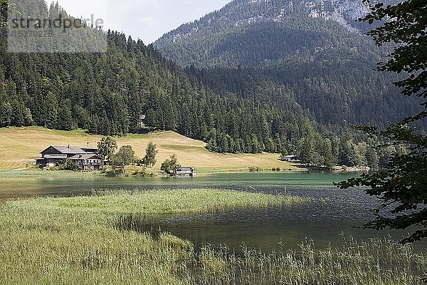 Hintersteiner See  Naturschutzgebiet Wilder Kaiser  Scheffau  Tirol  Österreich  Europa