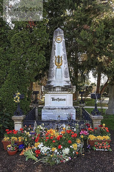 Grab von Ludwig van Beethoven  Komponist  Wiener Zentralfriedhof  Wien  Österreich  Europa