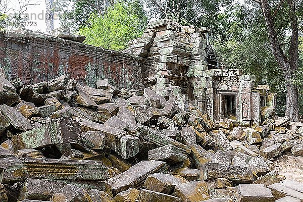 Antike Überreste des Tempels Ta Prohm  Provinz Siem Reap  Kambodscha  Asien