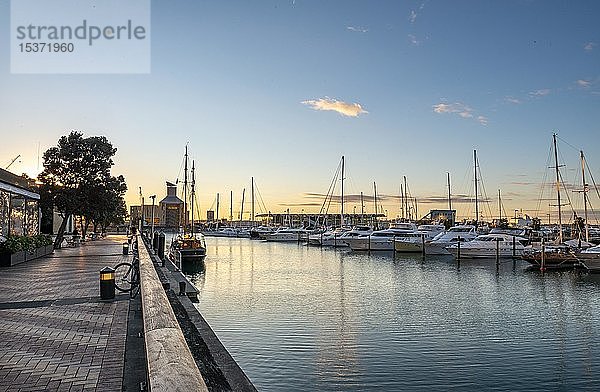 Promenade am Hafen bei Sonnenuntergang  Segelboote und Yachten  Waitemata Hafen  Auckland  Nordinsel  Neuseeland  Ozeanien