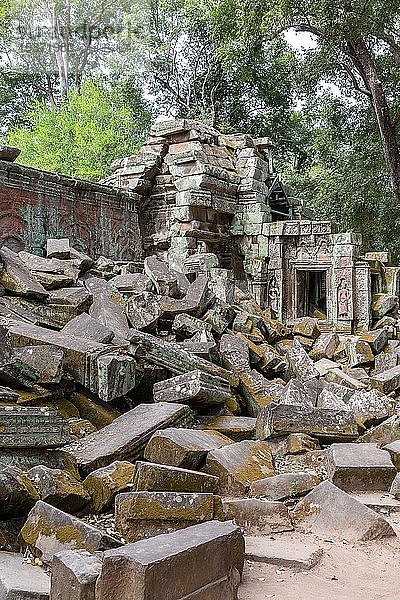 Antike Überreste des Tempels Ta Prohm  Provinz Siem Reap  Kambodscha  Asien
