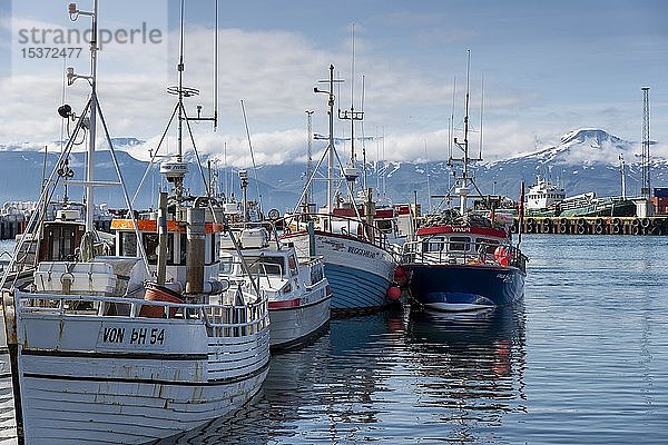 Fischerboote im Hafen von Husavik  Húsavík  Island  Europa