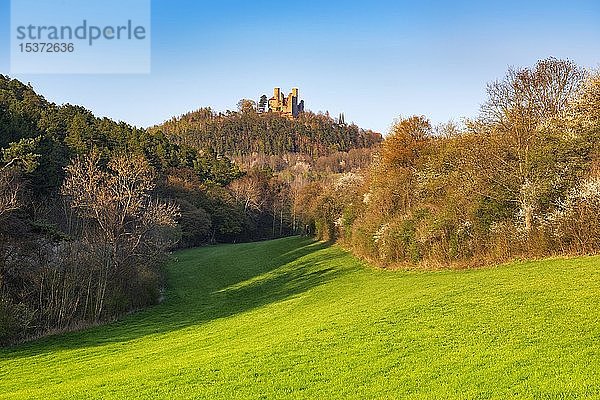 Ruine der Burg Hanstein im Frühling  Bornhagen  Eichsfeld  Thüringen  Deutschland  Europa