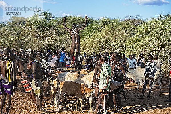 Junger Mann vom Stamm der Hamer springt über Rinderrücken  Ritual des Rindersprungs  Mannwerdung  Turmi  Unteres Omo-Tal  Omo-Region  Südäthiopien  Äthiopien  Afrika