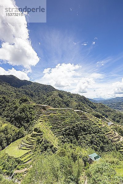 Blick auf die Reisterrassen vom Aussichtspunkt Banaue aus  Banaue  Philippinen  Asien